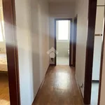 Rent 4 bedroom apartment of 85 m² in Bologna