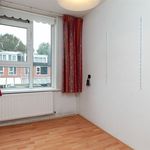 Huur 5 slaapkamer huis van 95 m² in Paddepoel-Noord