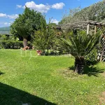 Rent 2 bedroom apartment of 80 m² in Trevignano Romano