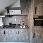 Rent 1 bedroom apartment in Brussels