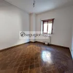 Rent 2 bedroom apartment of 50 m² in Roma