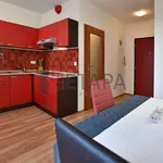 Rent 2 bedroom apartment of 38 m² in České Budějovice