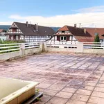 Rent 1 bedroom apartment in Preuschdorf