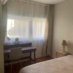 Rent 5 bedroom apartment in Porto