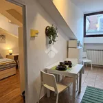 Rent 2 bedroom apartment of 35 m² in Turin