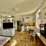 Rent 1 bedroom apartment in Jablonec nad Nisou