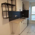 Rent 1 bedroom apartment in Opava