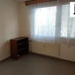 Rent 1 bedroom apartment in Plzeň