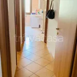 Rent 2 bedroom apartment of 70 m² in Verona