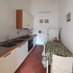 Rent 3 bedroom apartment of 65 m² in Florence