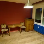 Rent 1 bedroom apartment of 46 m² in Brno