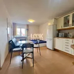 Pronajměte si 3 ložnic/e byt o rozloze 80 m² v Prague