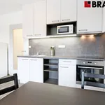 Rent 1 bedroom apartment of 28 m² in Brno