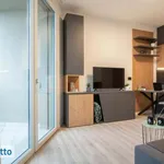 Rent 1 bedroom apartment of 28 m² in Milan