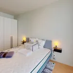 Huur 1 slaapkamer appartement in Antwerpen