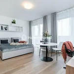 Rent 1 bedroom apartment of 40 m² in Pilsen