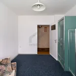 Rent 4 bedroom apartment of 96 m² in Poznan