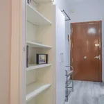 Rent 1 bedroom apartment in madrid