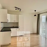 Rent 1 bedroom apartment in Capital City of Prague