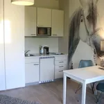 Miete 1 Schlafzimmer wohnung von 26 m² in Frankfurt