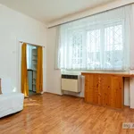 Rent 1 bedroom apartment of 39 m² in Prague