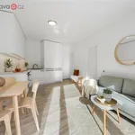 Rent 3 bedroom apartment of 71 m² in Brno-sever