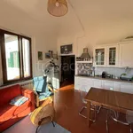 Rent 1 bedroom apartment of 50 m² in Pisa