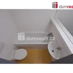 Rent 1 bedroom apartment of 25 m² in Prague