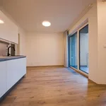 Rent 1 bedroom apartment of 33 m² in Capital City of Prague