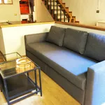 Rent 2 bedroom apartment of 60 m² in FIRENZE