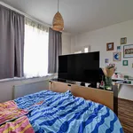 Rent 2 bedroom apartment of 31 m² in Zlín