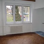 Rent 1 bedroom house in Ostrava