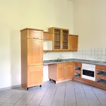 Rent 3 bedroom apartment of 131 m² in Dresden