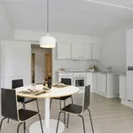 Rent 1 bedroom apartment of 48 m² in Aarhus