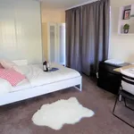 Rent 1 bedroom flat in Coventry