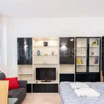 Rent 1 bedroom apartment of 47 m² in Milano