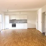 Rent 3 bedroom apartment of 74 m² in Gleisdorf