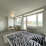 Rent 1 bedroom apartment of 170 m² in Praha