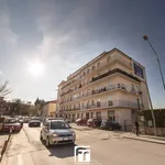 Rent 4 bedroom apartment of 100 m² in Campobasso