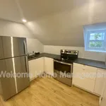 Rent 1 bedroom apartment in Hamilton