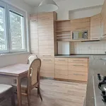 Rent 3 bedroom apartment of 80 m² in Jihlava