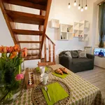 Rent 2 bedroom apartment of 45 m² in Milano