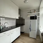 Rent 2 bedroom apartment of 61 m² in Stationsplein