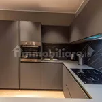 Rent 2 bedroom apartment of 85 m² in Turin