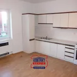 Pronajměte si 3 ložnic/e byt o rozloze 63 m² v České Budějovice