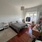 Rent 1 bedroom apartment of 110 m² in Rome