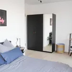 Rent 1 bedroom apartment in Berlin