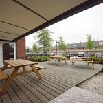 Rent 2 bedroom apartment of 59 m² in Rotterdam