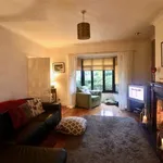 Rent a room of 60 m² in dublin