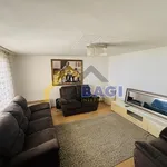 Rent 7 bedroom apartment of 250 m² in City of Zagreb